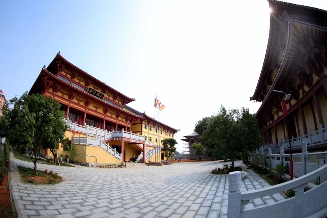 来共青城不负诗与远方