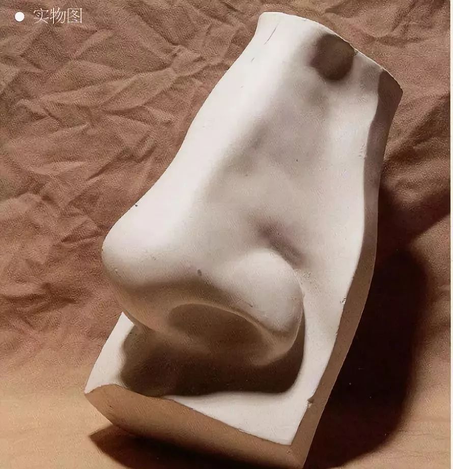 素描石膏头像鼻子剖析