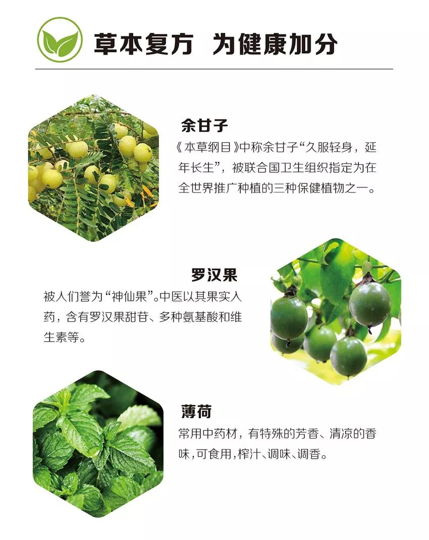 科技精品匠心之作麦卢卡蜂蜜余甘含片