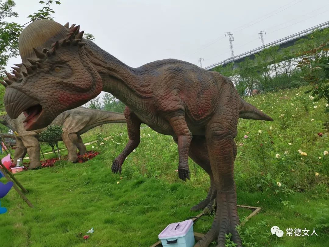 百支孔雀开屏齐飞百条恐龙活灵活现百亩繁花似锦儿童节的最佳去处