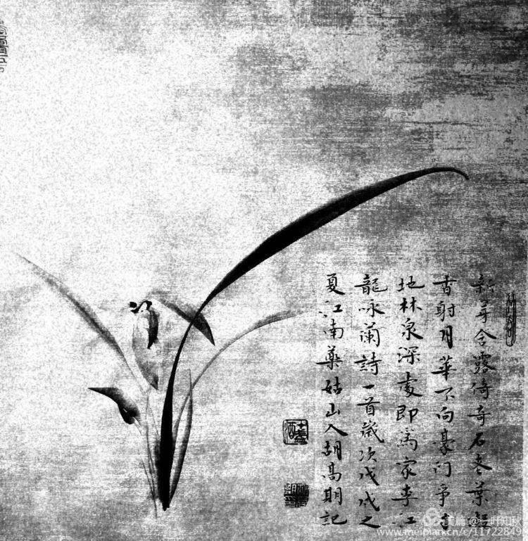 青年俊才画兰名家幽兰居士韩正_兰花者