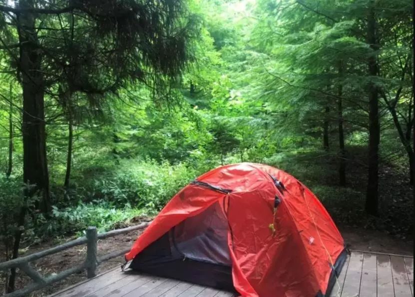 亲子露营678日端午盛夏初体验北山小森林露营拥抱自然登高金华第一峰