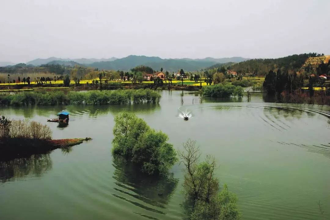 今天城固博物馆张骞纪念馆南沙湖免费开放
