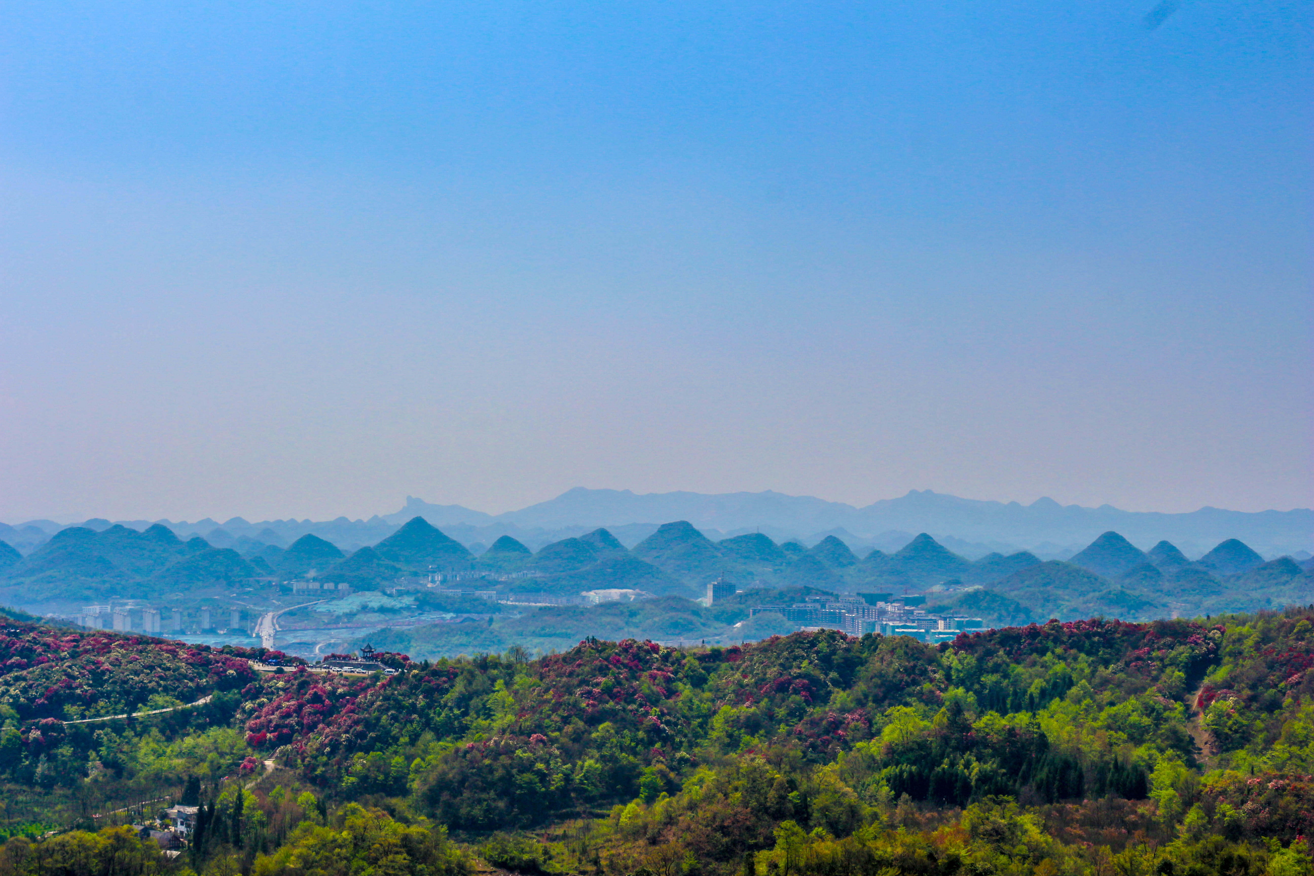 百里杜鹃普底景区图片