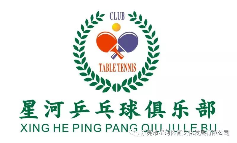 乒乓球的队旗设计图图片