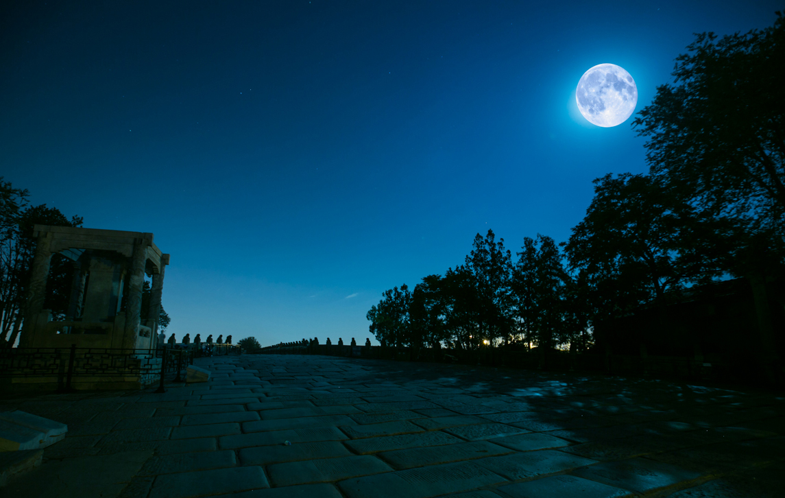 【星连文学社】广西诗人陈熠明:生命的飘落