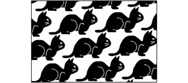 640_284gif 动态图 动图