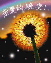 晚安鲜花带字动态图片图片