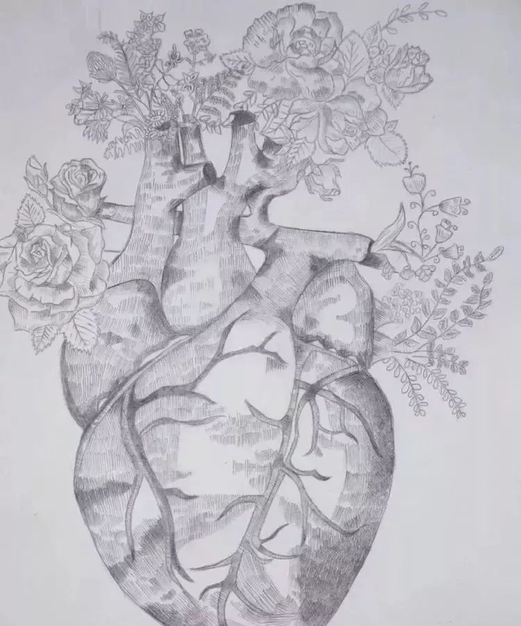 高校学生手绘解剖图走红网友被学医耽误的灵魂画手