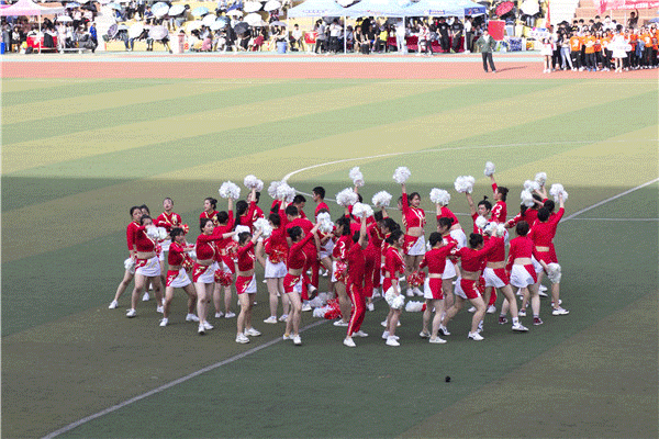 【玛珈之窗】注意!一大波不容错过的运动会精彩动图袭来.