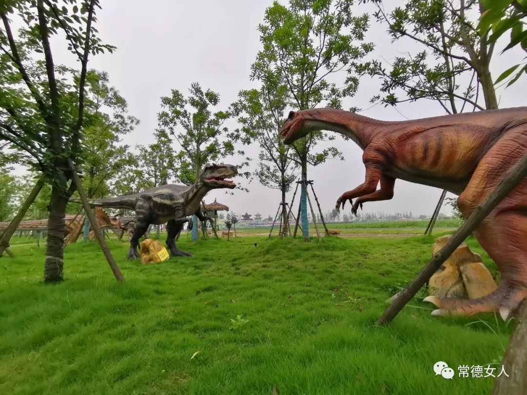 百支孔雀开屏齐飞百条恐龙活灵活现百亩繁花似锦儿童节的最佳去处