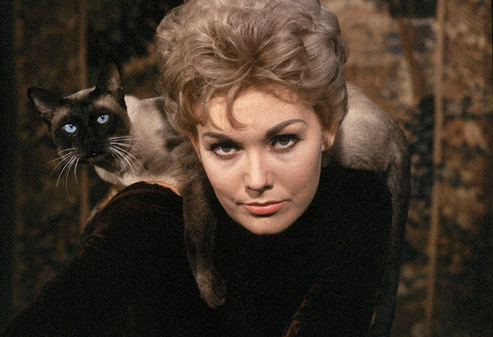 在金·诺瓦克主演电影《夺情记》时,她身边始终有一只毛茸茸的暹罗猫