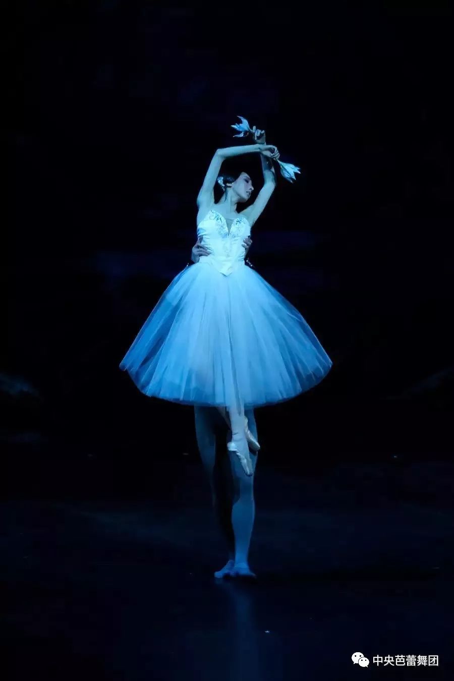 中国芭蕾舞女演员照片图片
