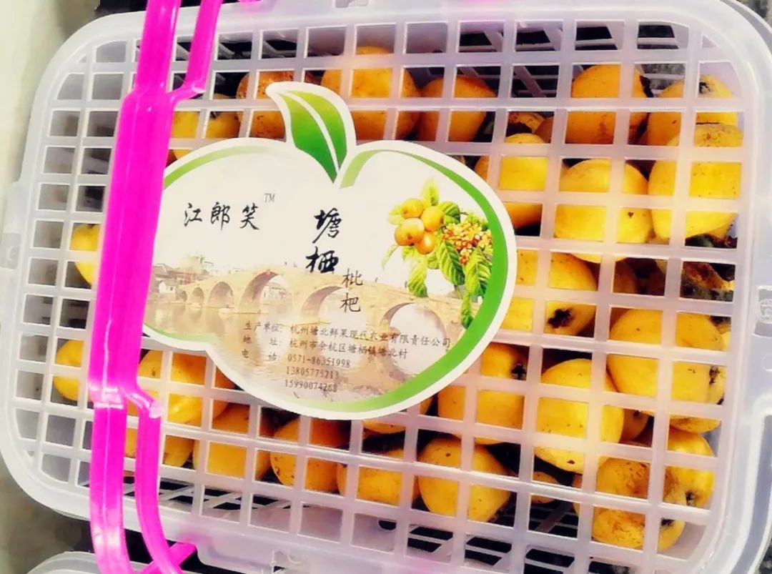 塘栖枇杷预定购买!专车直送绍兴,"软条白沙",想吃吗?