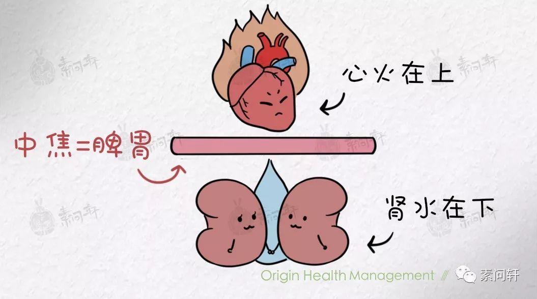 困扰当代中青年三大不治之症失眠溃疡脱发其实都是表象原因只有一个