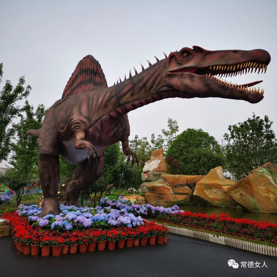百支孔雀开屏齐飞百条恐龙活灵活现百亩繁花似锦儿童节的最佳去处
