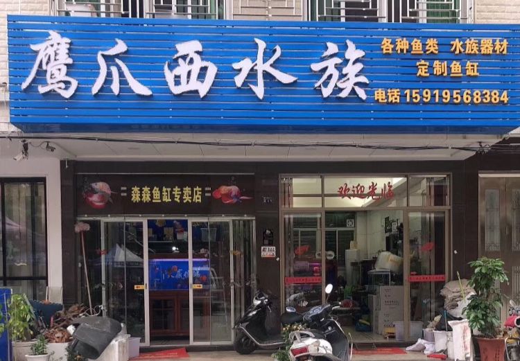 注意│饶平这家水族馆照片被曝光不看就太吃亏了