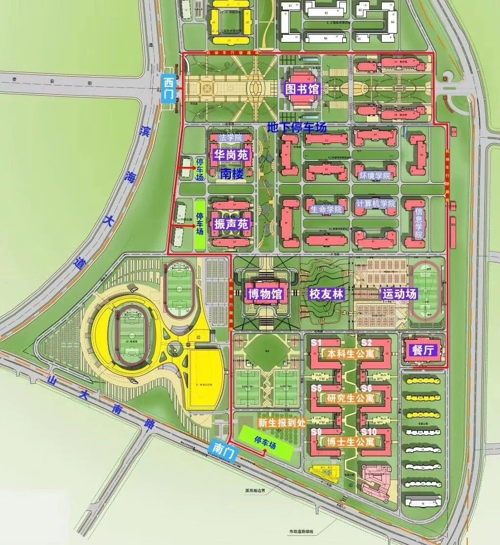 "2011年年底,我来到青岛,青岛大学的朋友陪着我来青岛校区这块地,一片