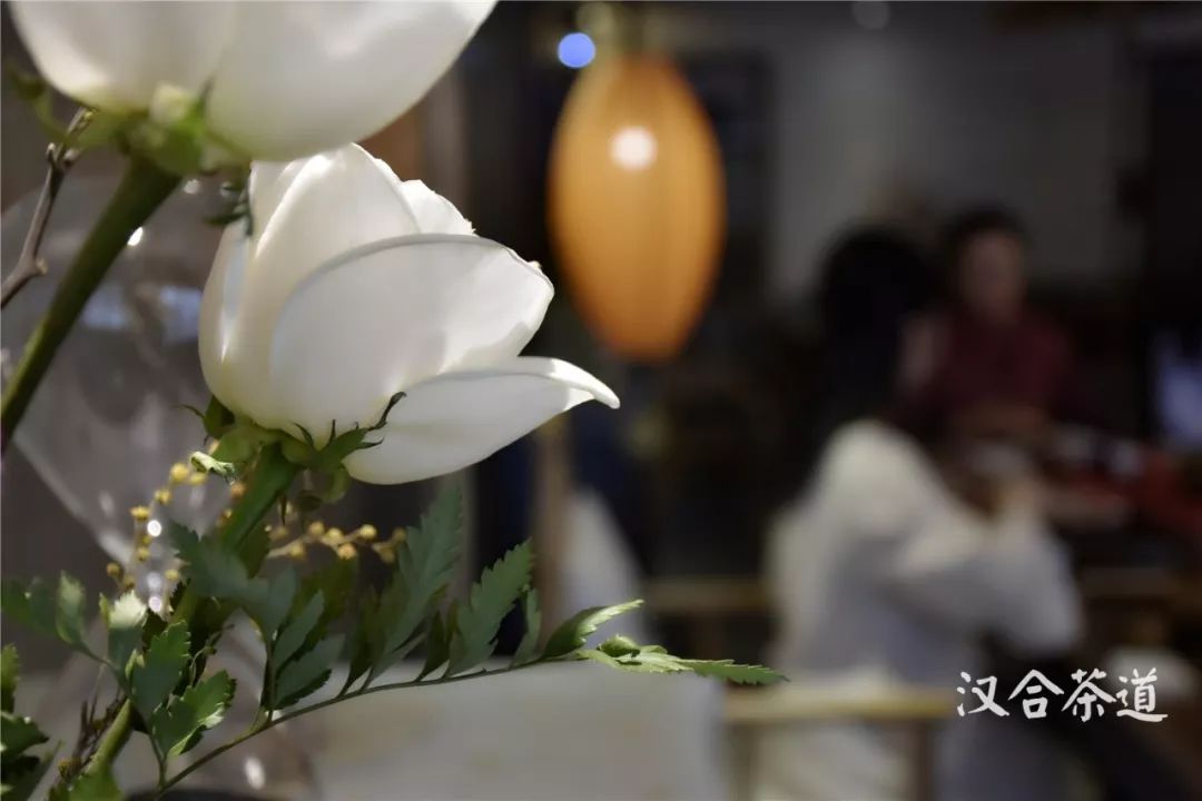清香如我,淡雅如茶|我与茶的缘份