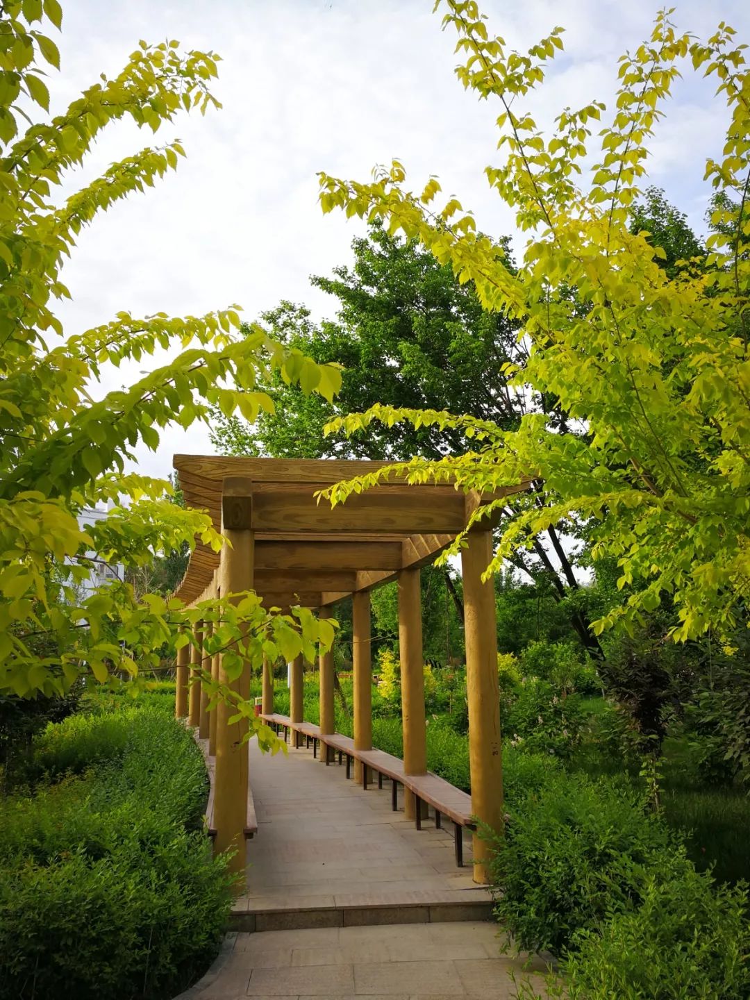 来哈密湿地公园洗洗肺吧休闲健身娱乐的好去处