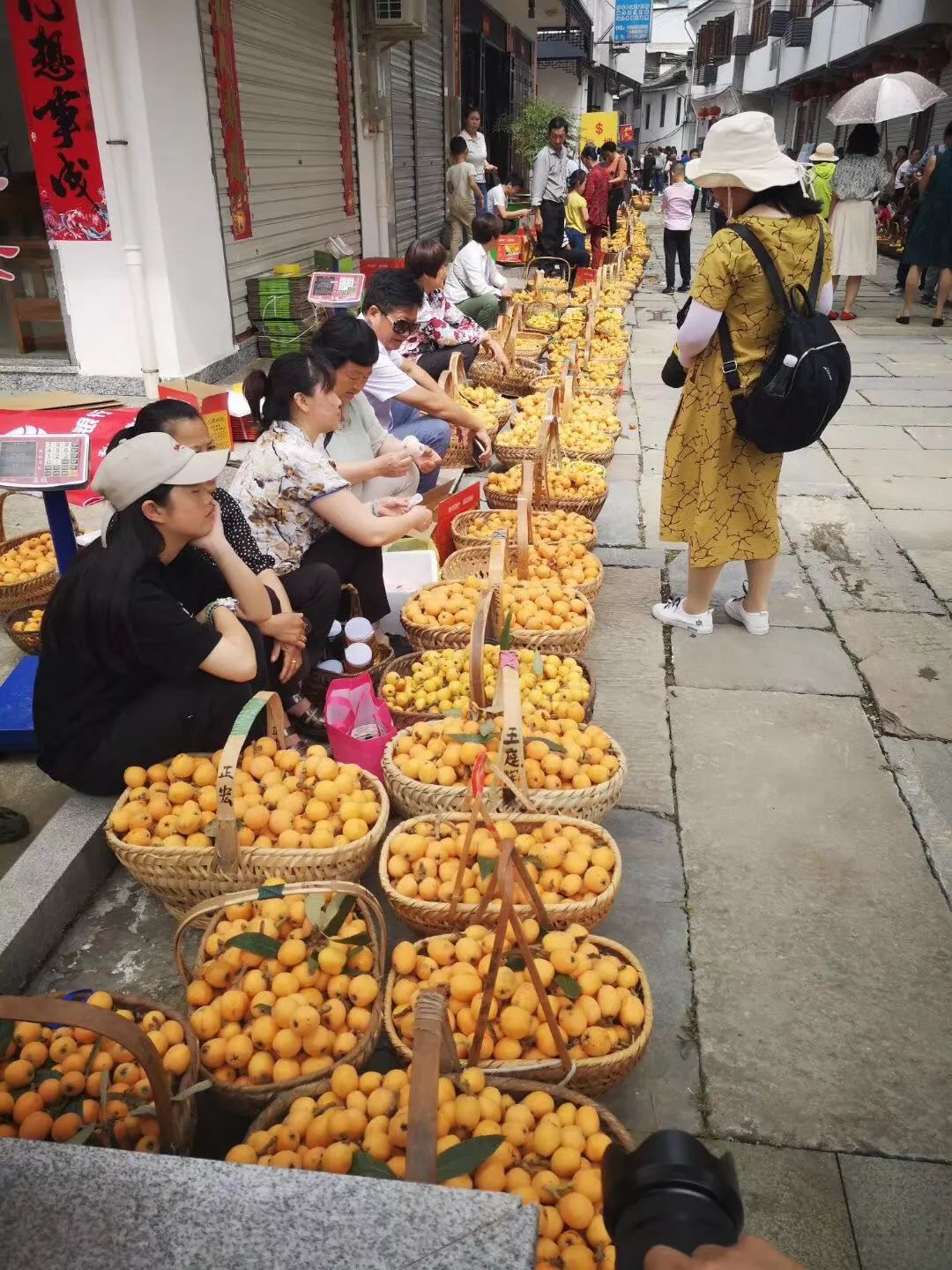 15秒视频带您走进现场 | 第三届徽州古城摄影大展 歙县"三潭"枇杷节