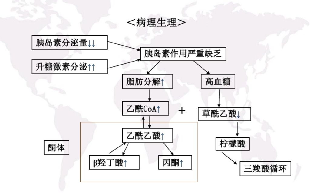 糖尿病酮症酸中毒你想知道的乾貨