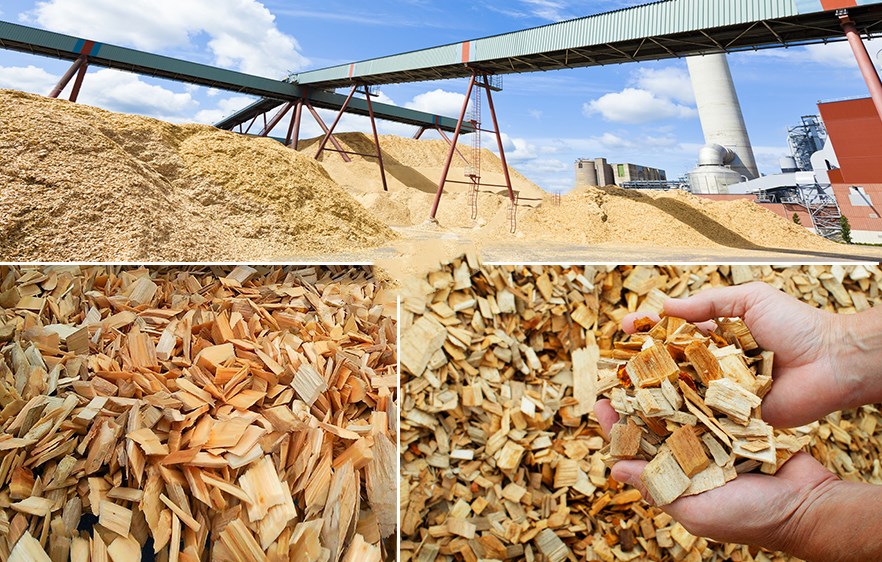 大型盘式木材削片机图片