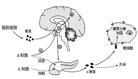 c6811321e9844a27b25eae4fe7920cec.jpeg