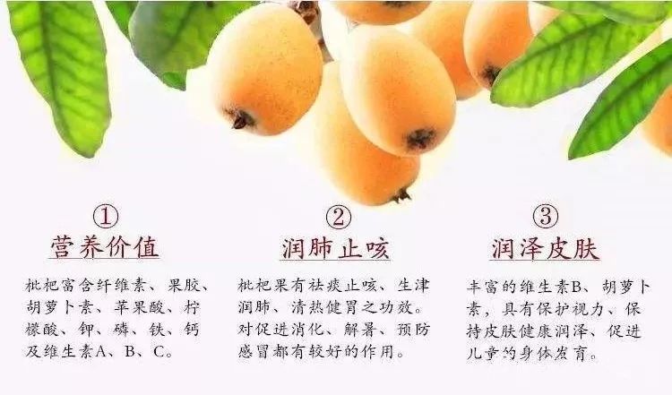 塘栖枇杷预定购买专车直送绍兴软条白沙想吃吗