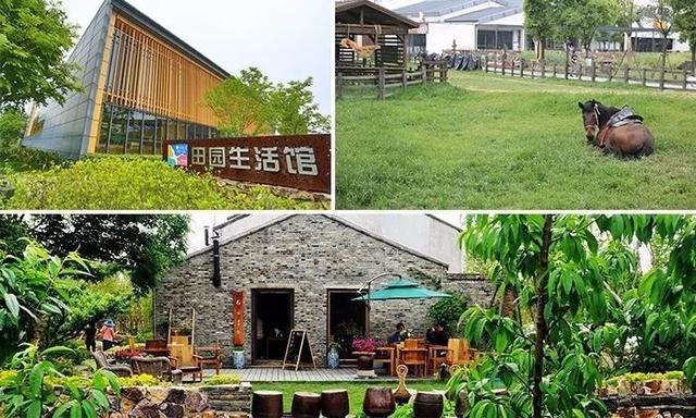 e,生活性与劳动性相结合田园康养既是生活,也是劳动,既是进行回归自然