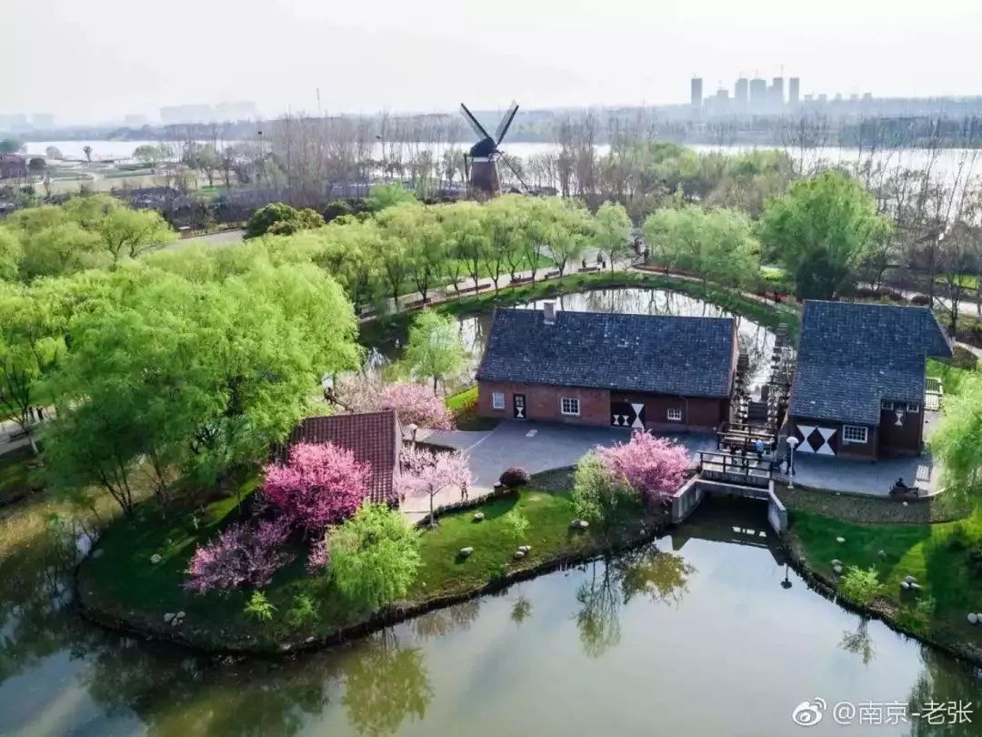 10號線綠博園站門票:免費老山森林公園地址:南京市浦口區黃山嶺路地鐵