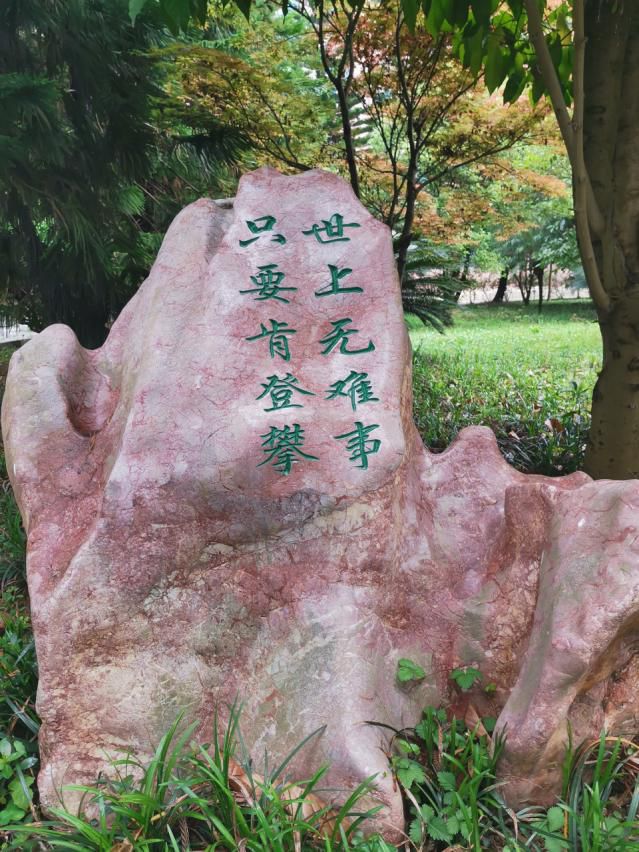 (2)坚如磐石的理想信念坚如磐石是指我们的信心信念不动摇,目标不动摇