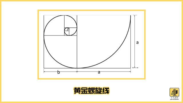 根据这个规则,斐波那契数列螺旋是由一系列使用斐波那契数列数字的正