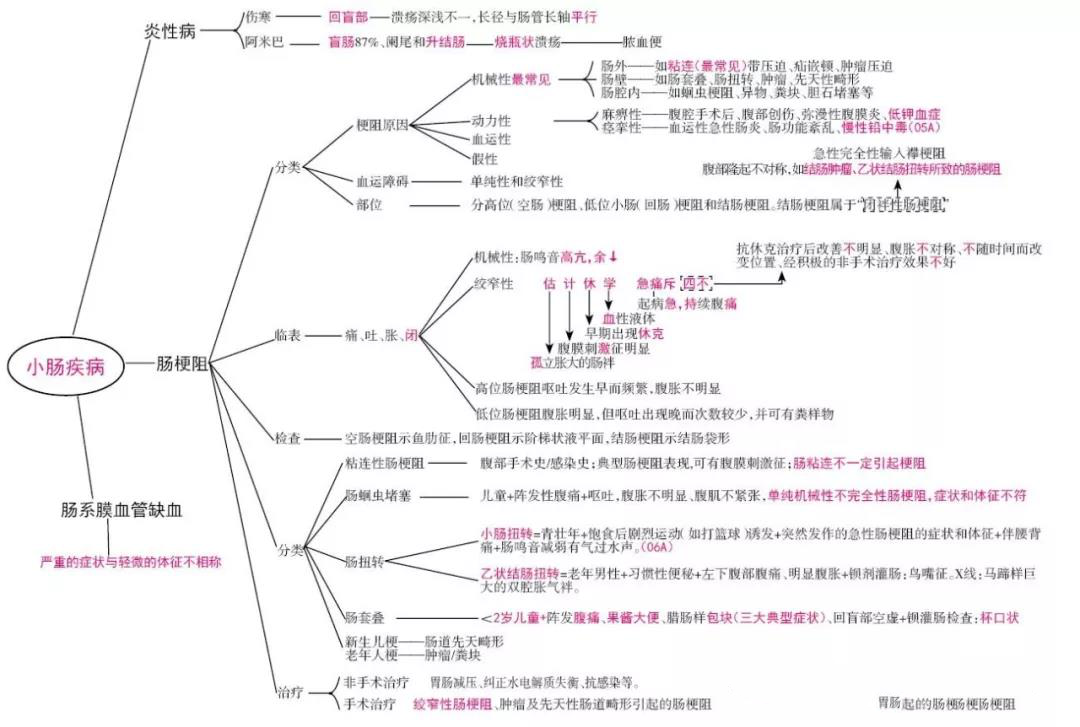 超级思维导图2020年西医综合考研复习知识重点思维导图汇总