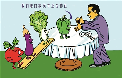 市政协委员为加快培育新型农业经营主体出谋划策