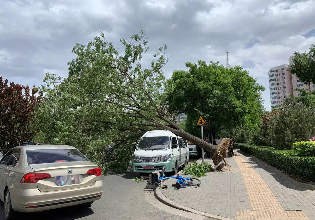大风天气仍继续,请大家务必做好防范!