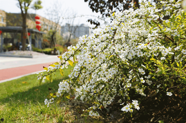 640_426gif 动态图 动图