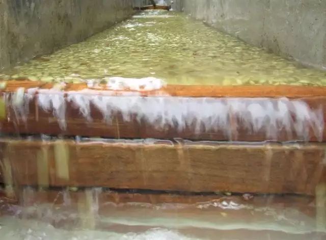 为什么大多数精品咖啡都采用水洗处理法