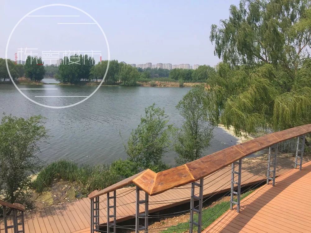长青湾公园位于浑河南岸上游入市区的第一道拐弯处,沿河岸线多处湿地