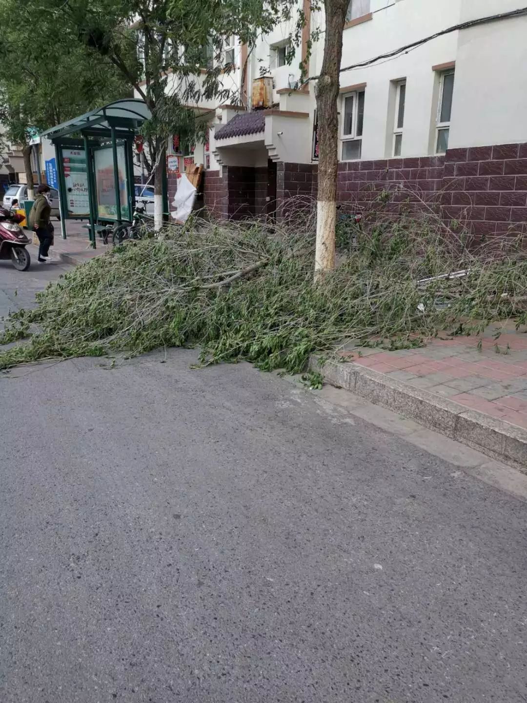 房顶被掀翻树被拔起还有电杆车辆多地实拍张家口十级大风啥时候停