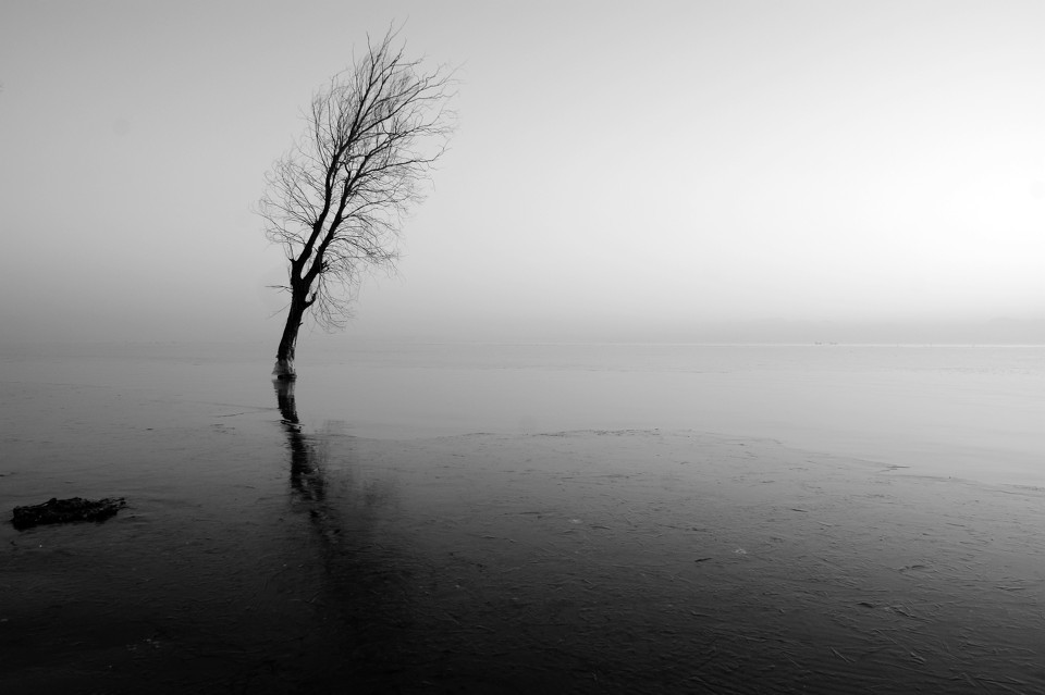 漫谈:沉默寡言的人_人品