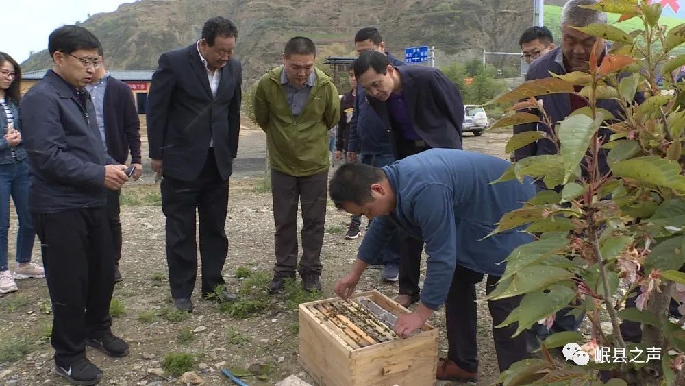 产业扶贫加强对接合作共筑产业发展中国蜂产品协会岷县人民政府蜂产业