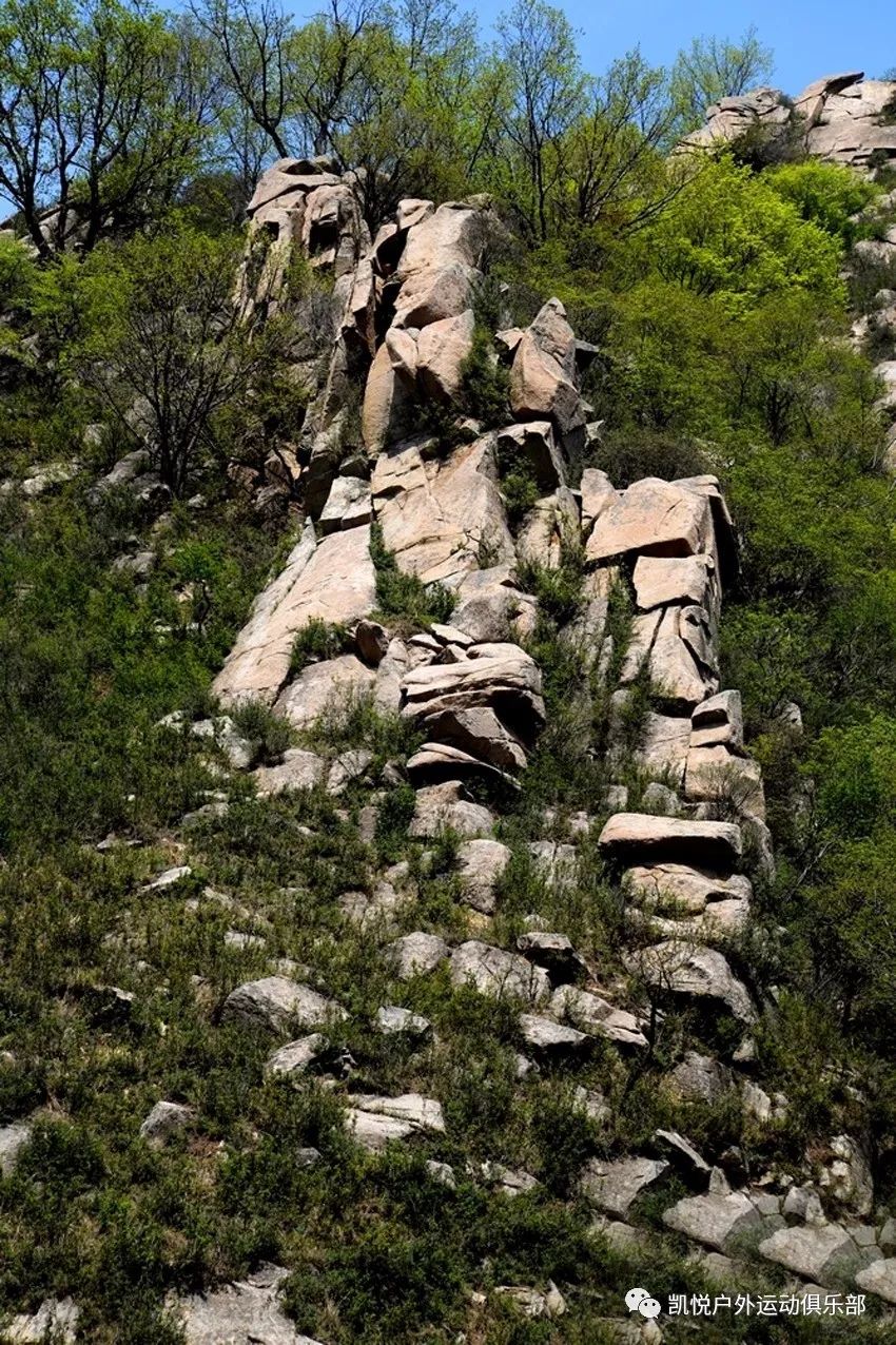 【6月1日摩天岭】天然桃源地,高峰摩天岭——易县摩天岭一日野山穿越!