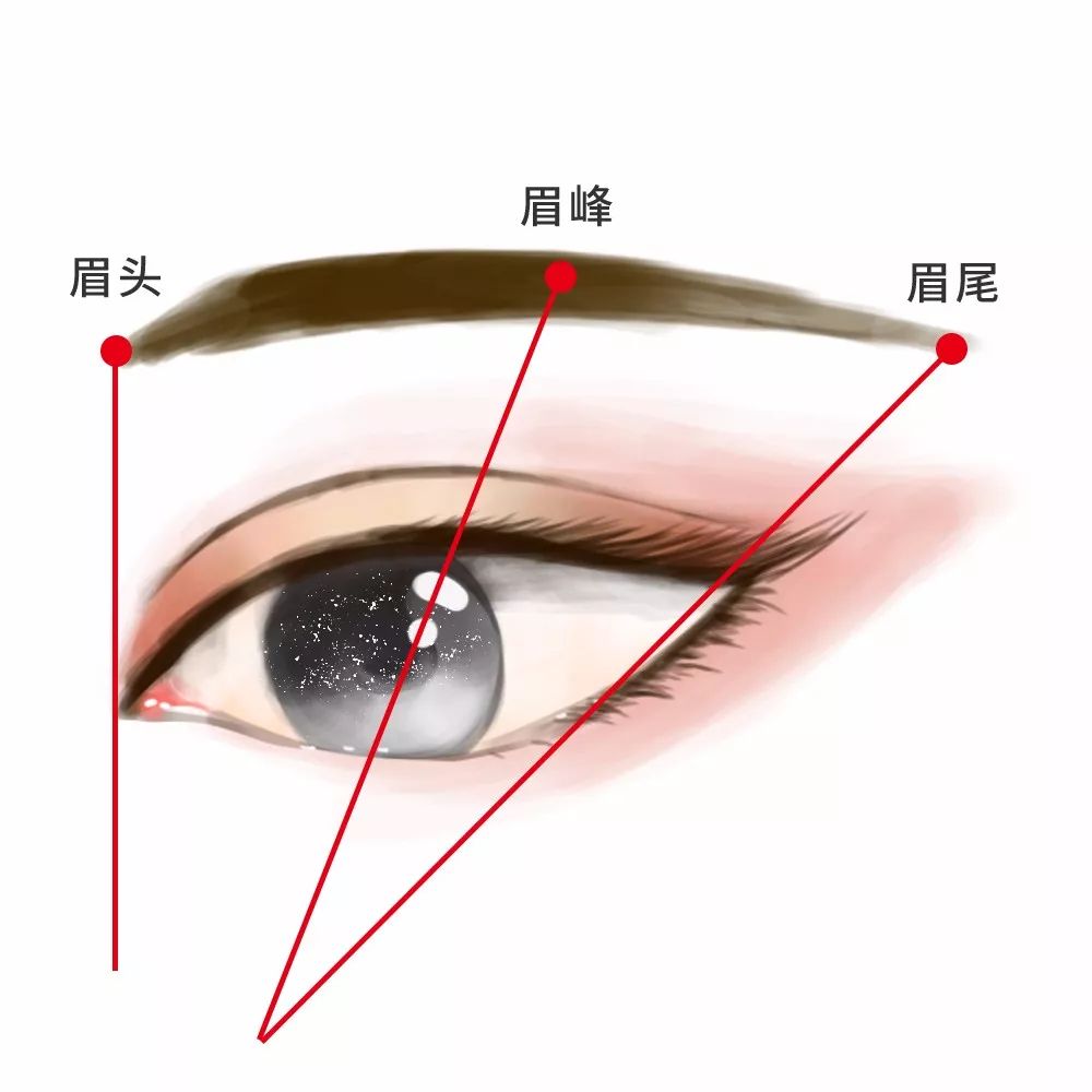 因为ta的眉毛很好看!