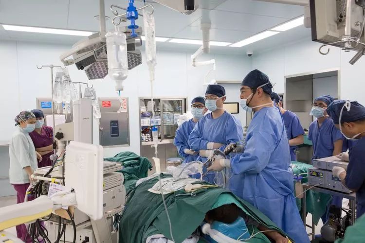 上海交通大学附属第一人民医院邵怡教授:输尿管软镜钬激光碎石术泌尿