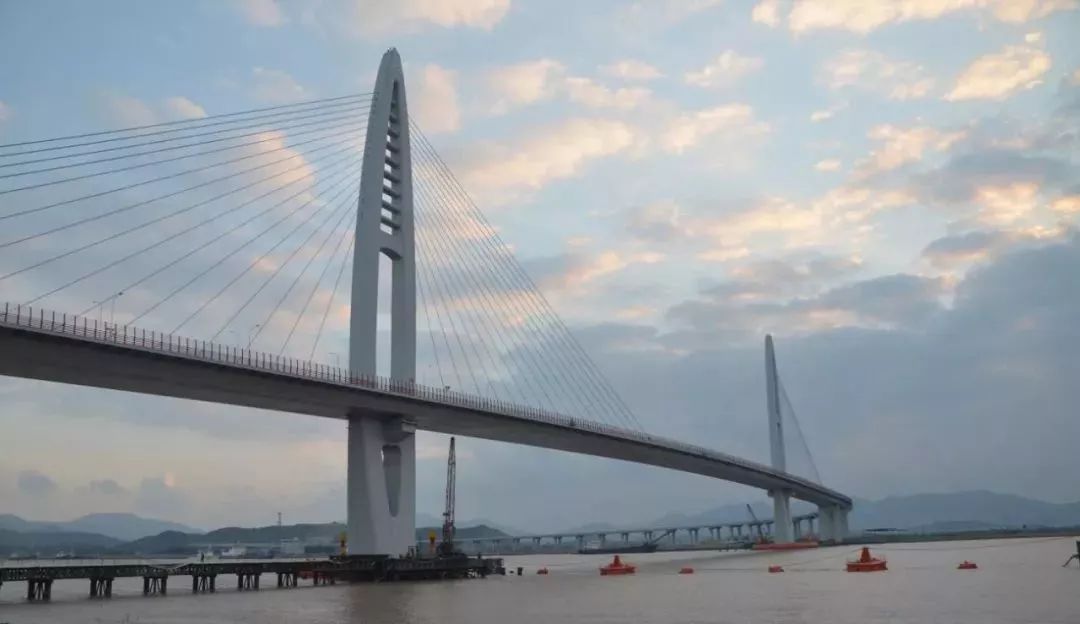 厉害啦2018年度上海市科学技术奖揭晓杨浦获80项大奖