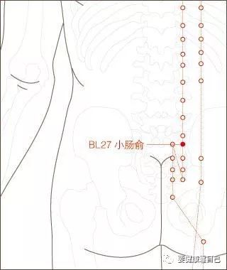 小肠俞位置图片