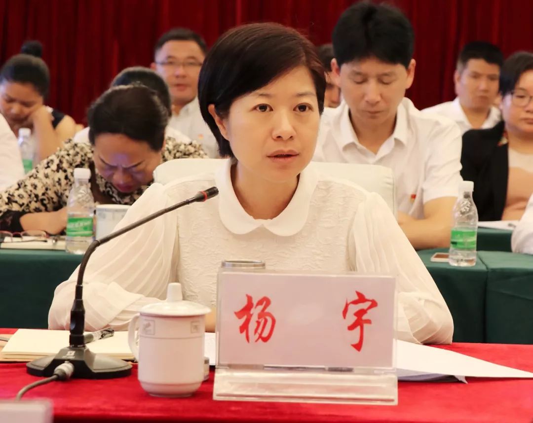 杨宇代表西盟县作表态发言,对技术评估专家组严格对照国家级卫生城市