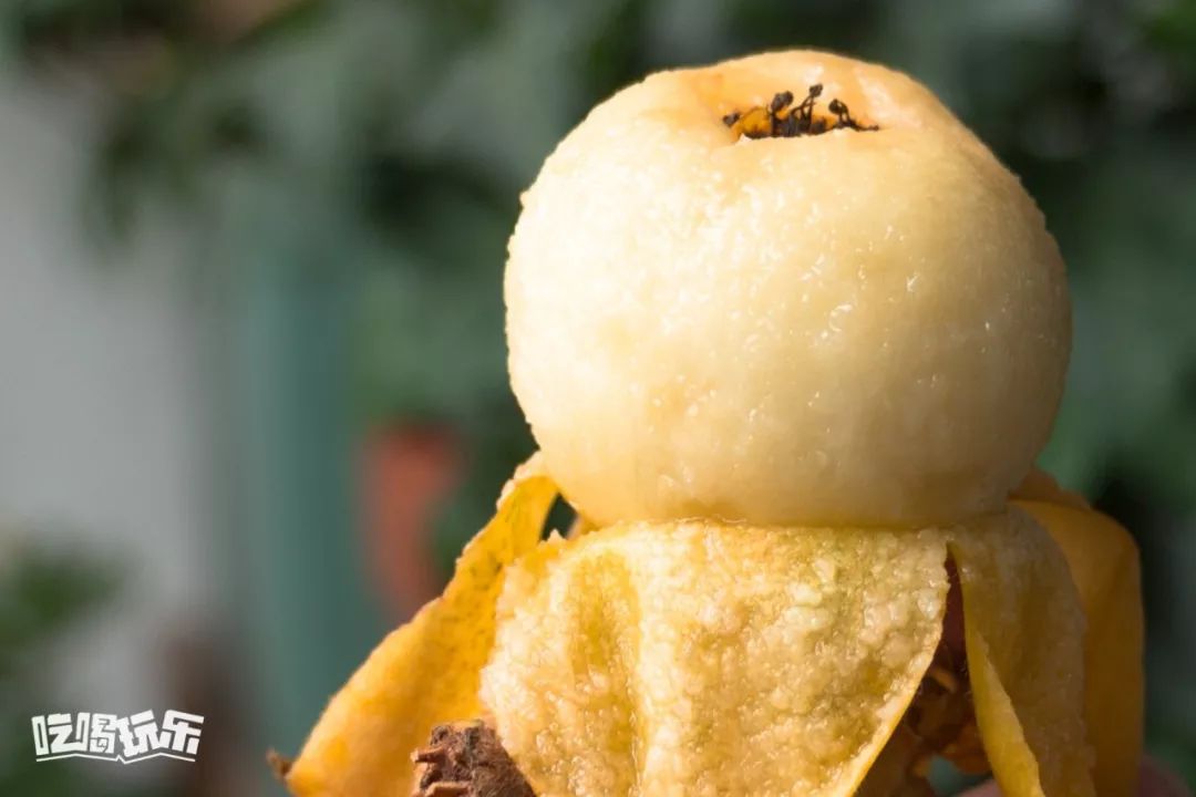 首发张家港白玉枇杷上市只供精品大果全市免费配送