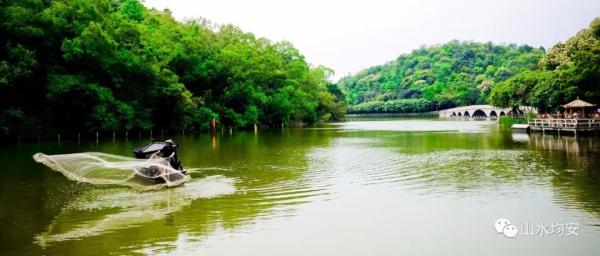 盡享片區規劃利好均安這塊靚地靠近鳧洲河